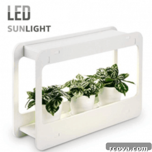 Culinary Curation: Gifts for Gourmet & Get-Ahead Cooks 49 Indoor herb garden kit, allowing fresh herbs to be grown year-round.