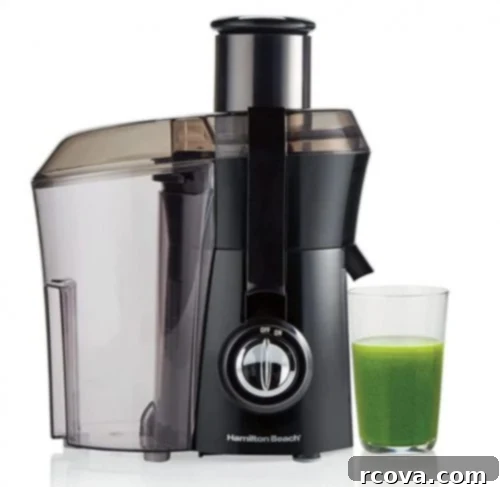 Culinary Curation: Gifts for Gourmet & Get-Ahead Cooks 50 Modern juicer for making fresh, cold-pressed juices at home.