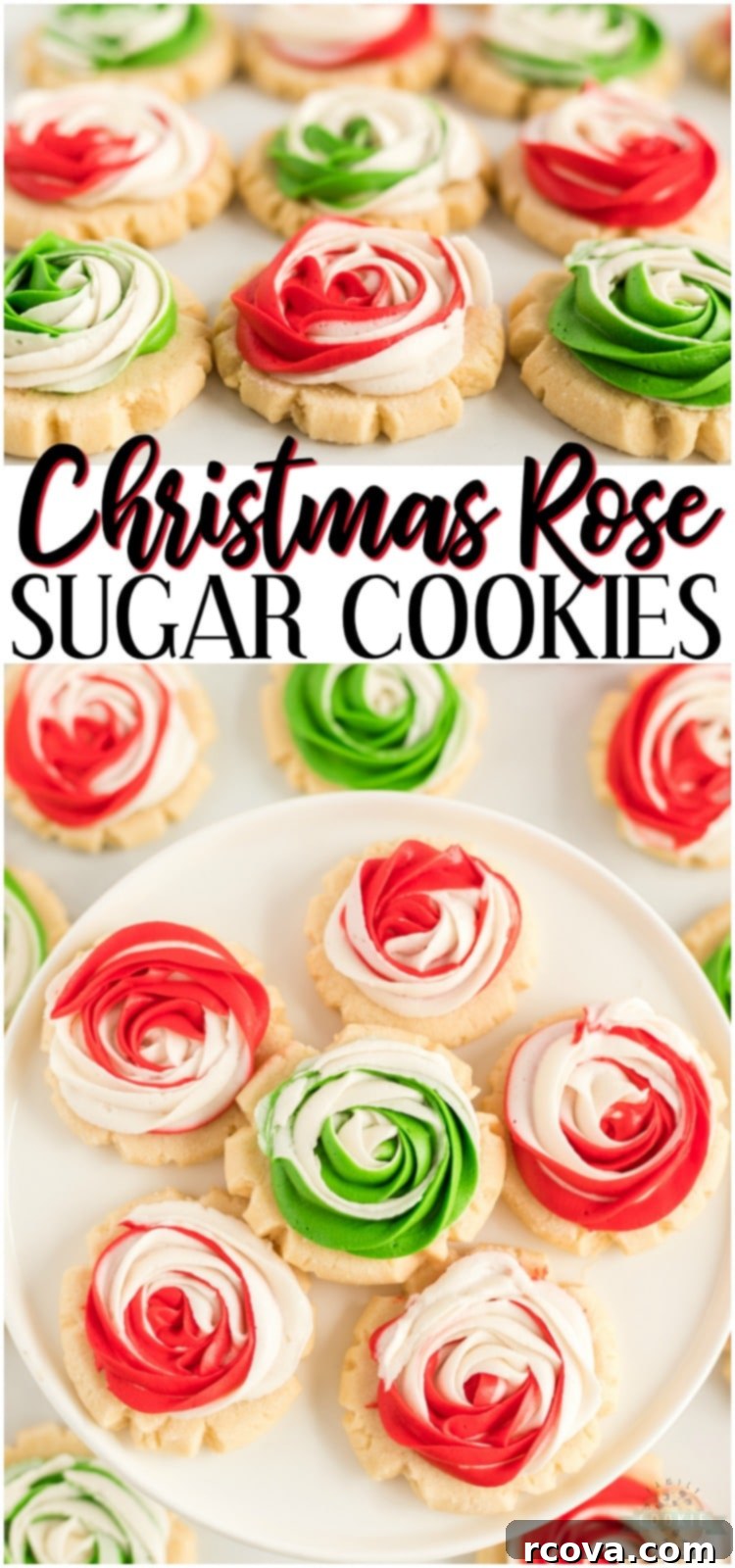 Iced Rose Sugar Cookies 16 Frosted Rose Sugar Cookies are buttery, soft sugar cookies with a delicious swirled rosette on top! This sugar cookie recipe doesn’t require any chilling and you don’t have to roll them out either! Elegant Sugar Cookies that look like roses that are perfect as gifts! #cookies #Christmas #rose #roses #frosting #dessert #baking #holidays #recipe from FAMILY COOKIE RECIPES