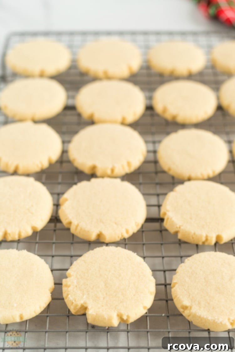 Iced Rose Sugar Cookies 9 img 2453 8