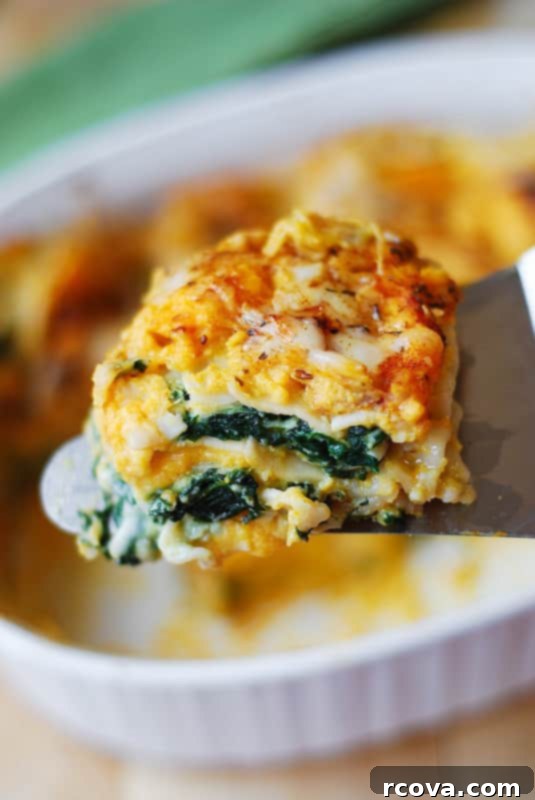 Autumn's Best: 40+ Butternut Squash Recipes to Savor 24 Slice of butternut squash and spinach lasagna