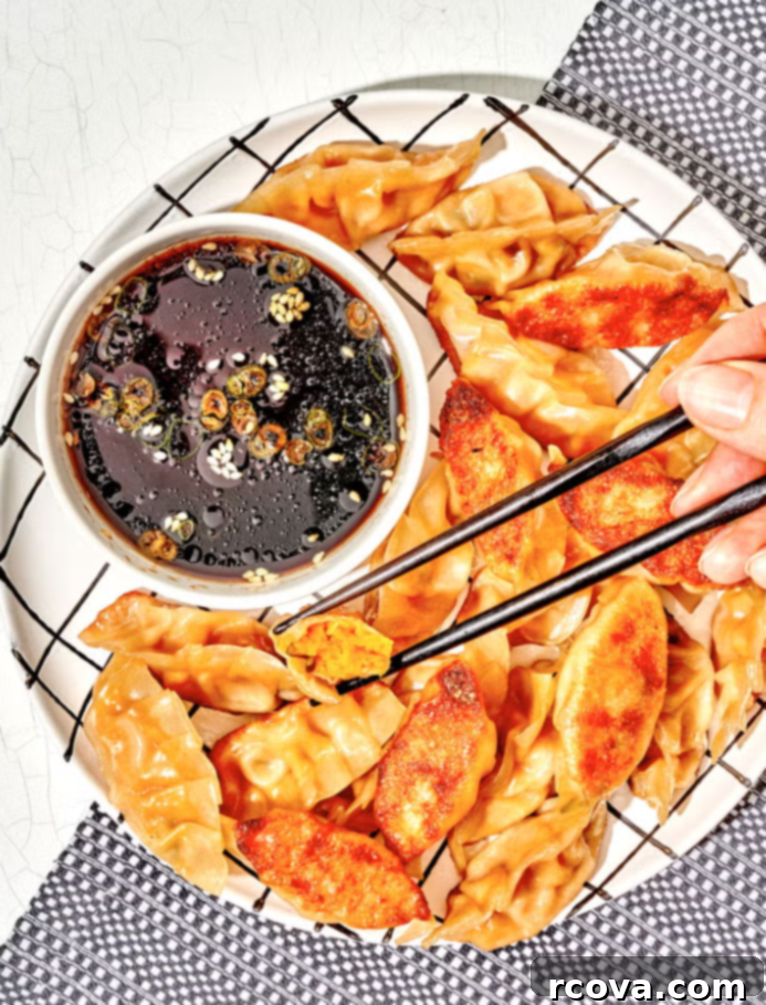 Autumn's Best: 40+ Butternut Squash Recipes to Savor 30 Butternut squash potstickers