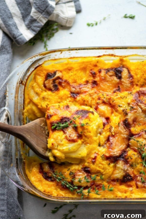 Autumn's Best: 40+ Butternut Squash Recipes to Savor 31 Butternut squash scalloped potatoes