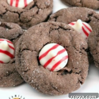 Holiday Chocolate Peppermint Blossoms 7 Chocolate Peppermint Blossoms