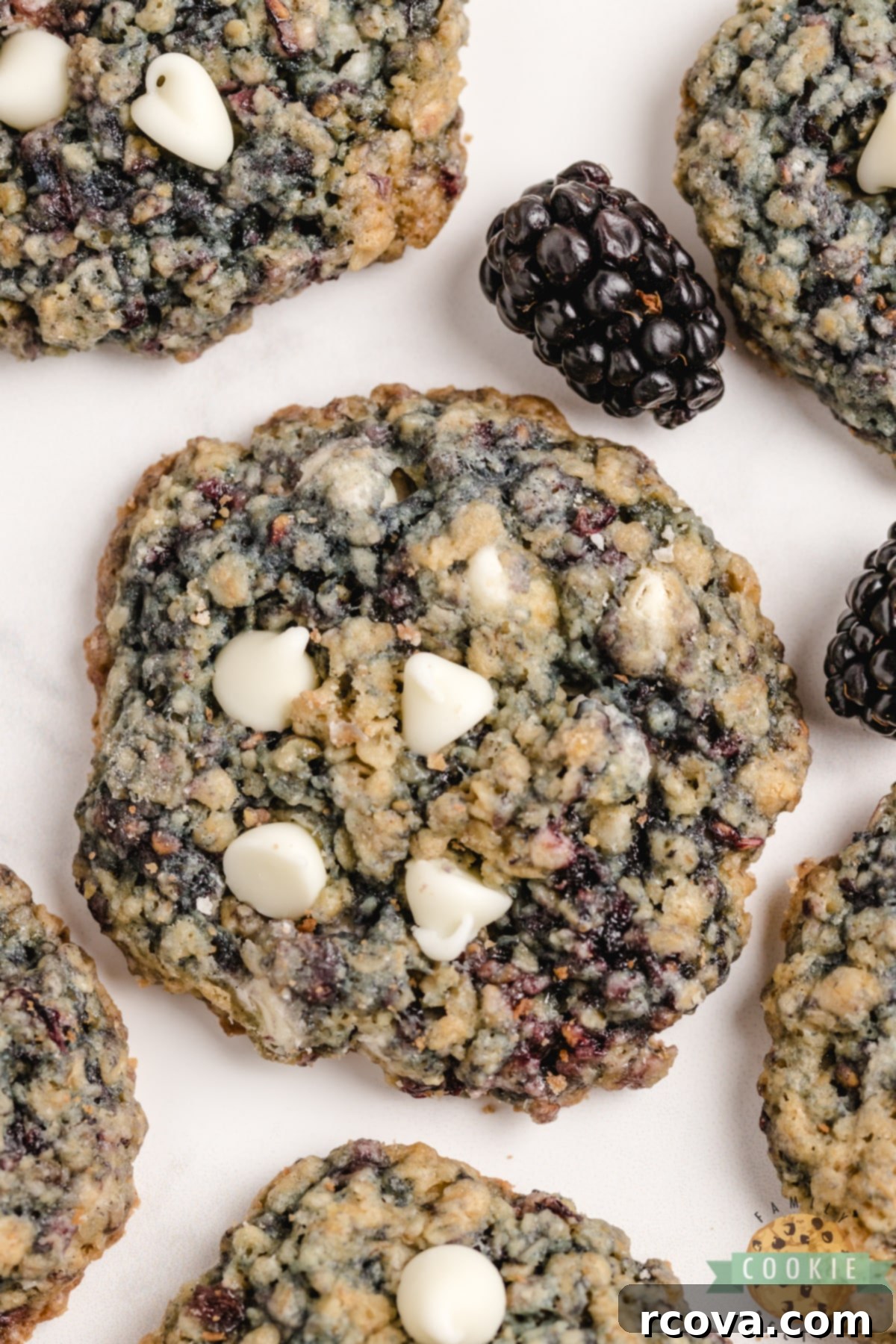 Blackberry Oatmeal Delights 11 Blackberry Oatmeal Cookies are made by adding blackberries to a deliciously soft and chewy oatmeal cookie recipe.