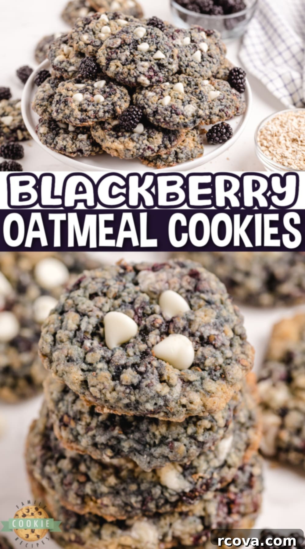 Blackberry Oatmeal Delights 12 Blackberry Oatmeal Cookies are made by adding blackberries to a deliciously soft and chewy oatmeal cookie recipe.