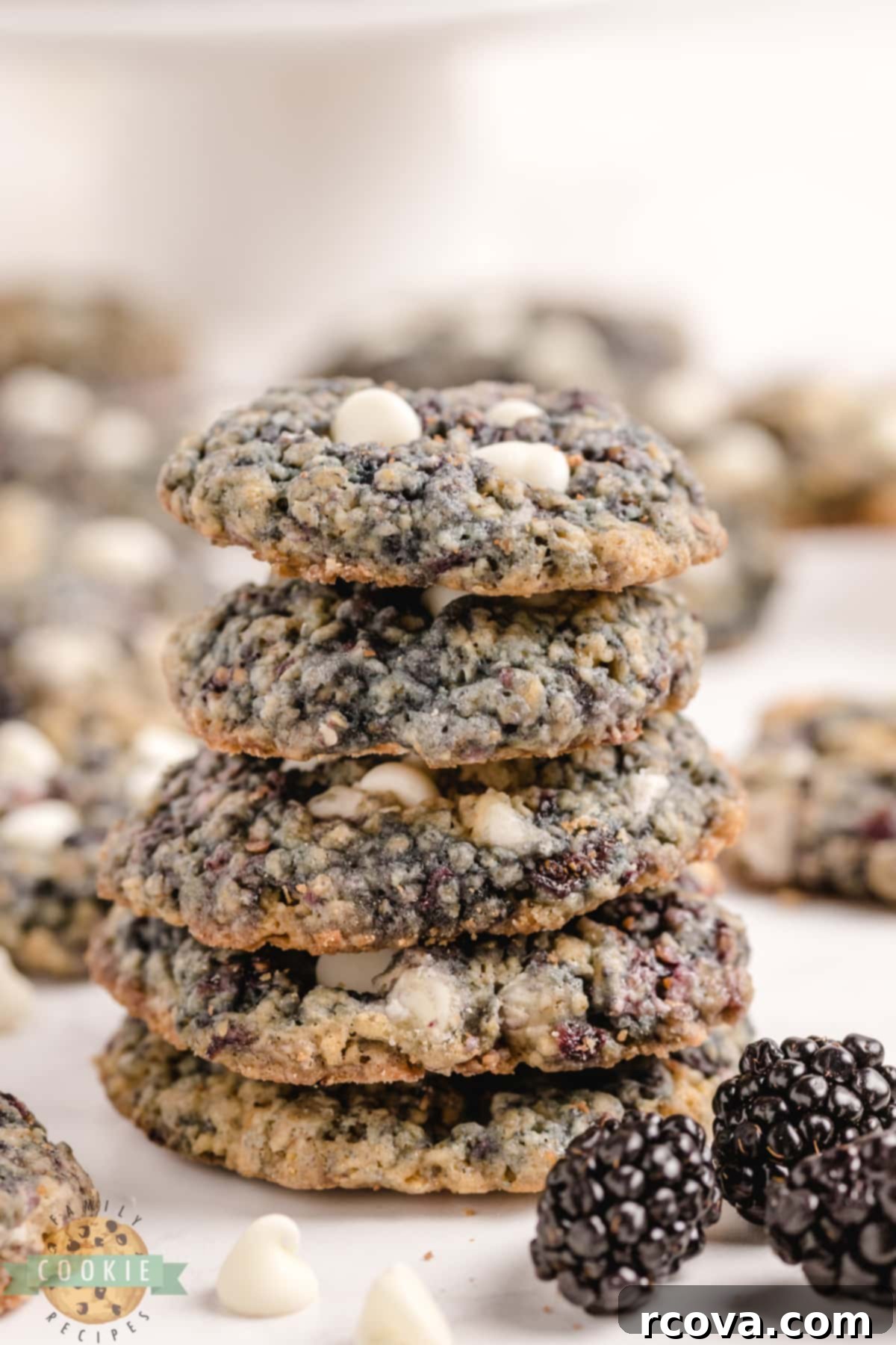 Blackberry Oatmeal Delights 4 Stack of blackberry oatmeal cookies