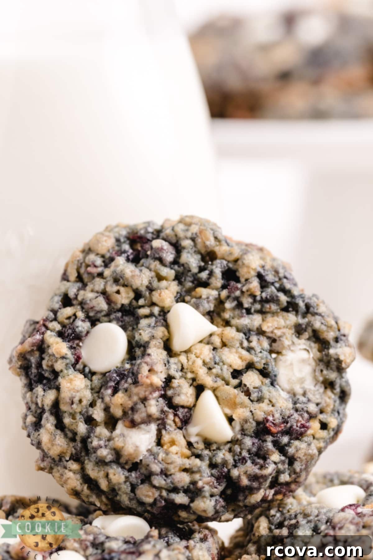 Blackberry Oatmeal Delights 9 Oatmeal cookie recipe with white chocolate chips and fresh blackberries