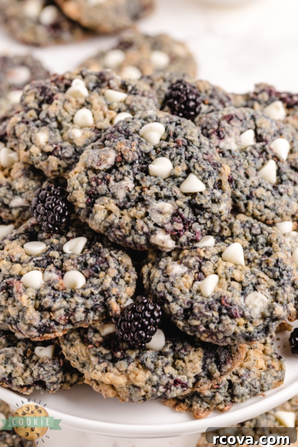 Blackberry Oatmeal Delights 10 Oatmeal cookies with blackberries