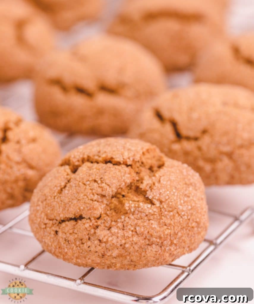 Spiced Pumpkin Gingersnap Cookies 2 Soft pumpkin ginger cookie resting on a cooling rack