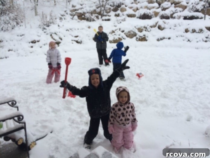 Spiced Pumpkin Gingersnap Cookies 12 Kids playing in snow, related to cozy baking