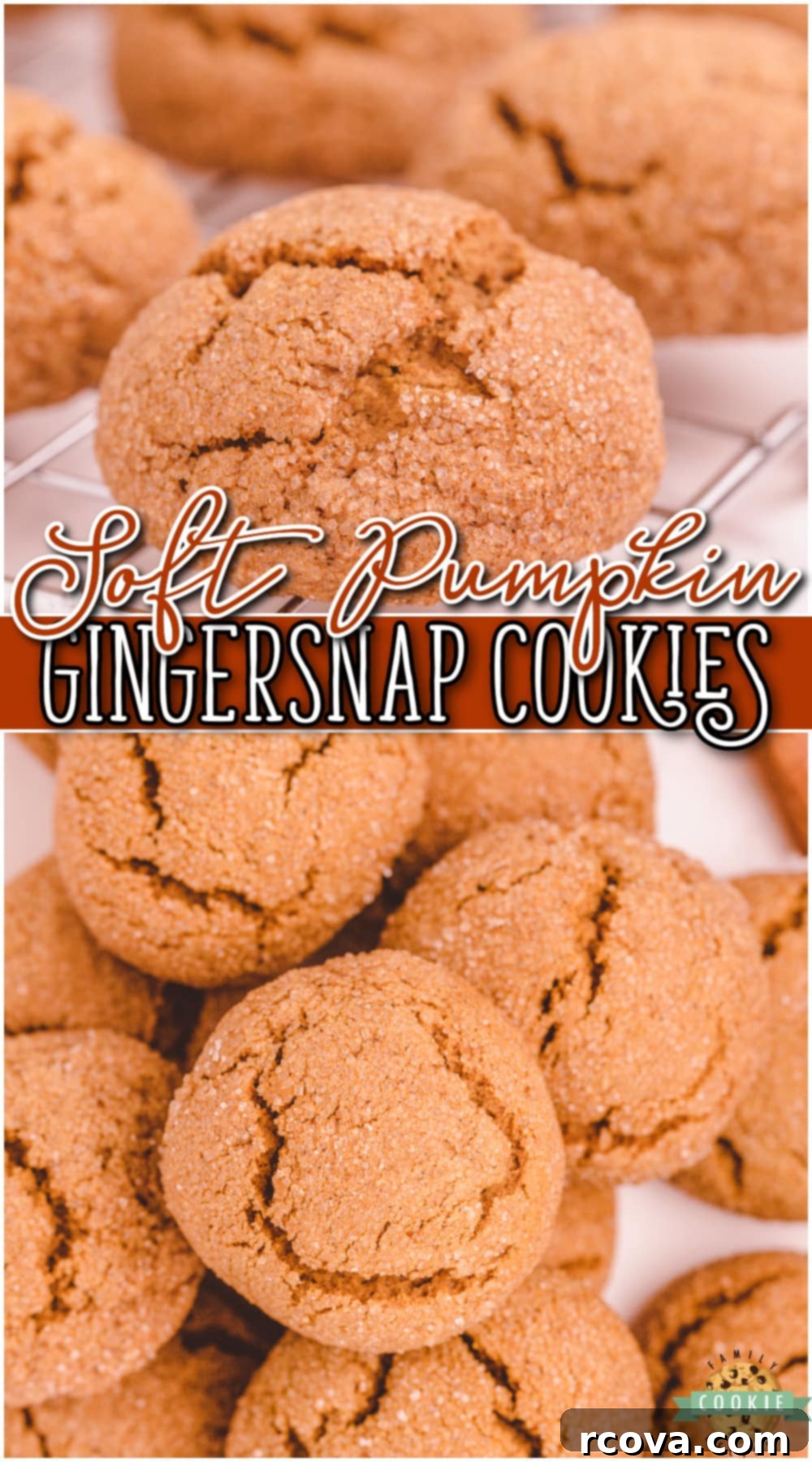 Spiced Pumpkin Gingersnap Cookies 13 Soft Pumpkin Gingersnap Cookies are wonderfully spiced pumpkin cookies with amazing ginger flavor! Making these pumpkin ginger cookies is simple & everyone loves the soft, chewy texture.