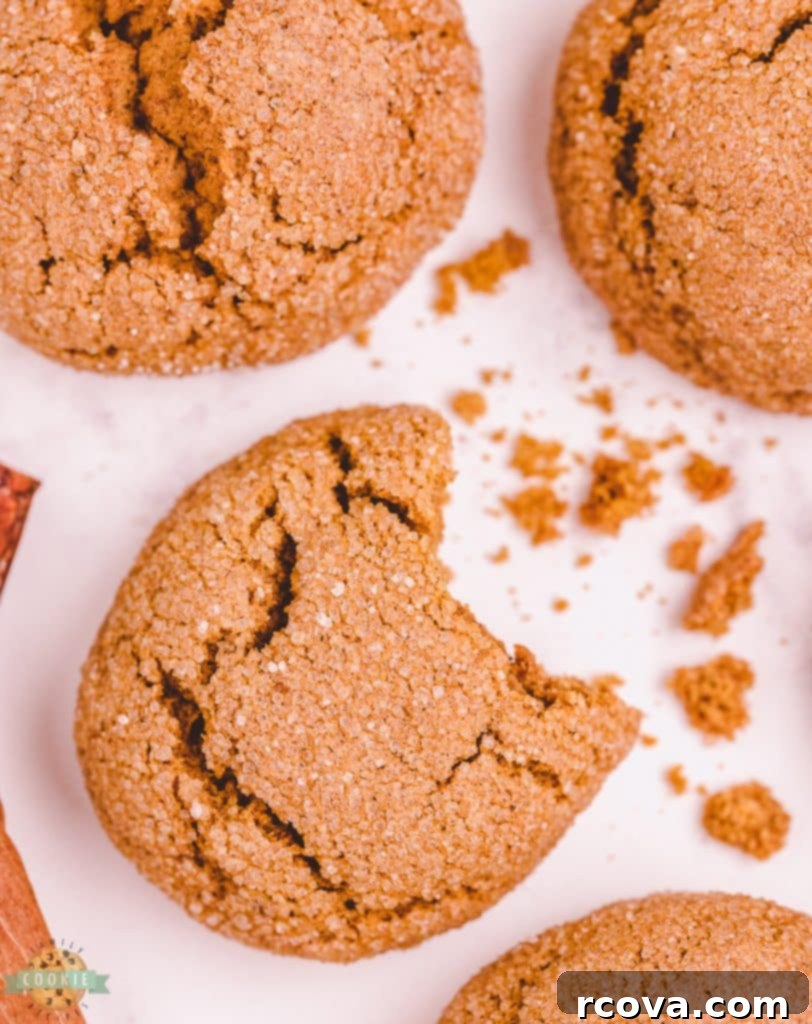 Spiced Pumpkin Gingersnap Cookies 3 Close-up of a pumpkin gingersnap cookie with a bite taken out