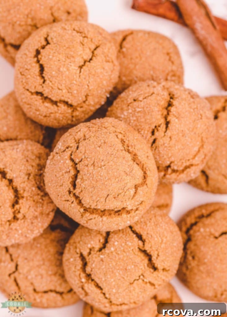 Spiced Pumpkin Gingersnap Cookies 4 Pile of soft pumpkin gingersnap cookies