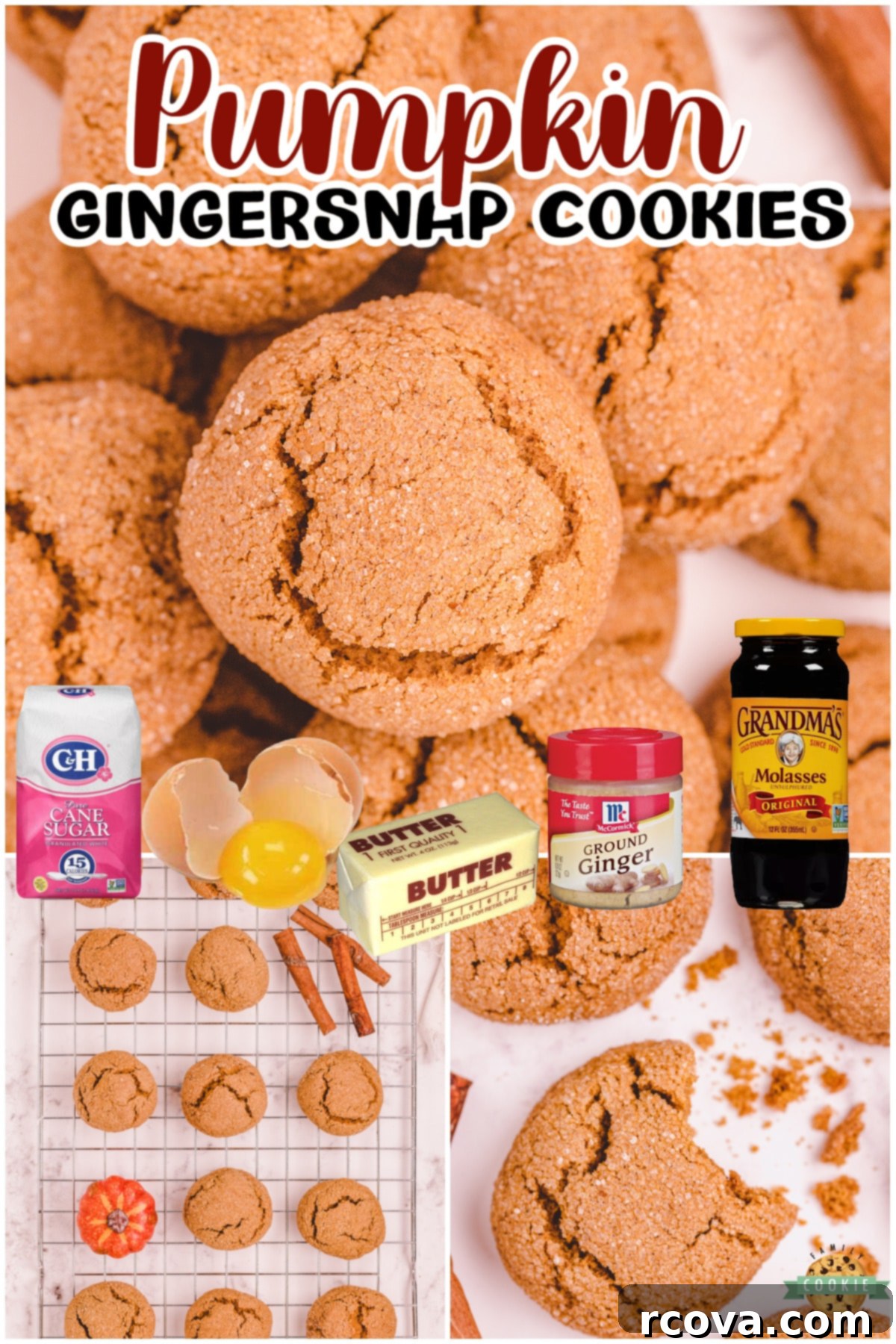 Spiced Pumpkin Gingersnap Cookies 6 Soft Pumpkin Gingersnap Cookies are wonderfully spiced pumpkin cookies with amazing ginger flavor! Making these pumpkin ginger cookies is simple & everyone loves the soft, chewy texture.