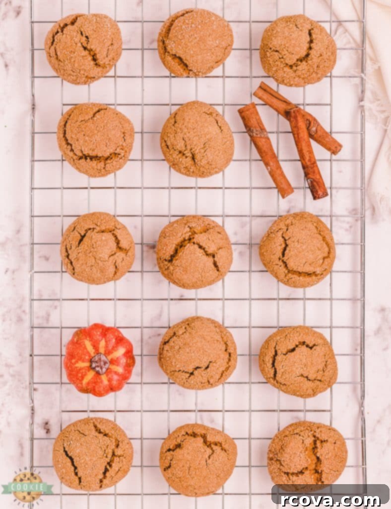 Spiced Pumpkin Gingersnap Cookies 9 Pumpkin cookies with ginger spice arranged on a plate