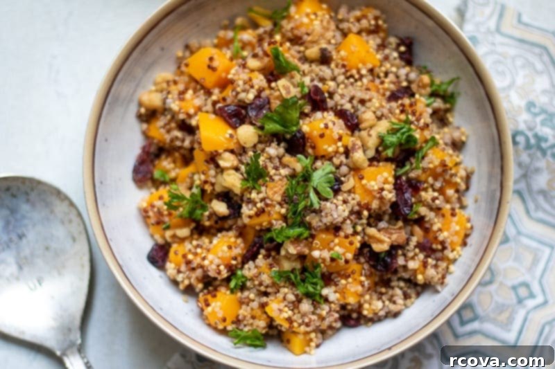 Wholesome Thanksgiving Delights 11 Fall Quinoa Salad via A Mind Full Mom