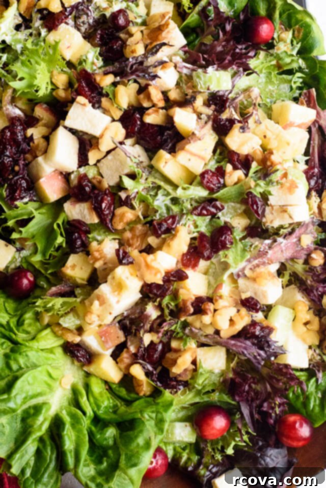 Wholesome Thanksgiving Delights 12 Healthy Waldorf Salad via The Adventure Bite