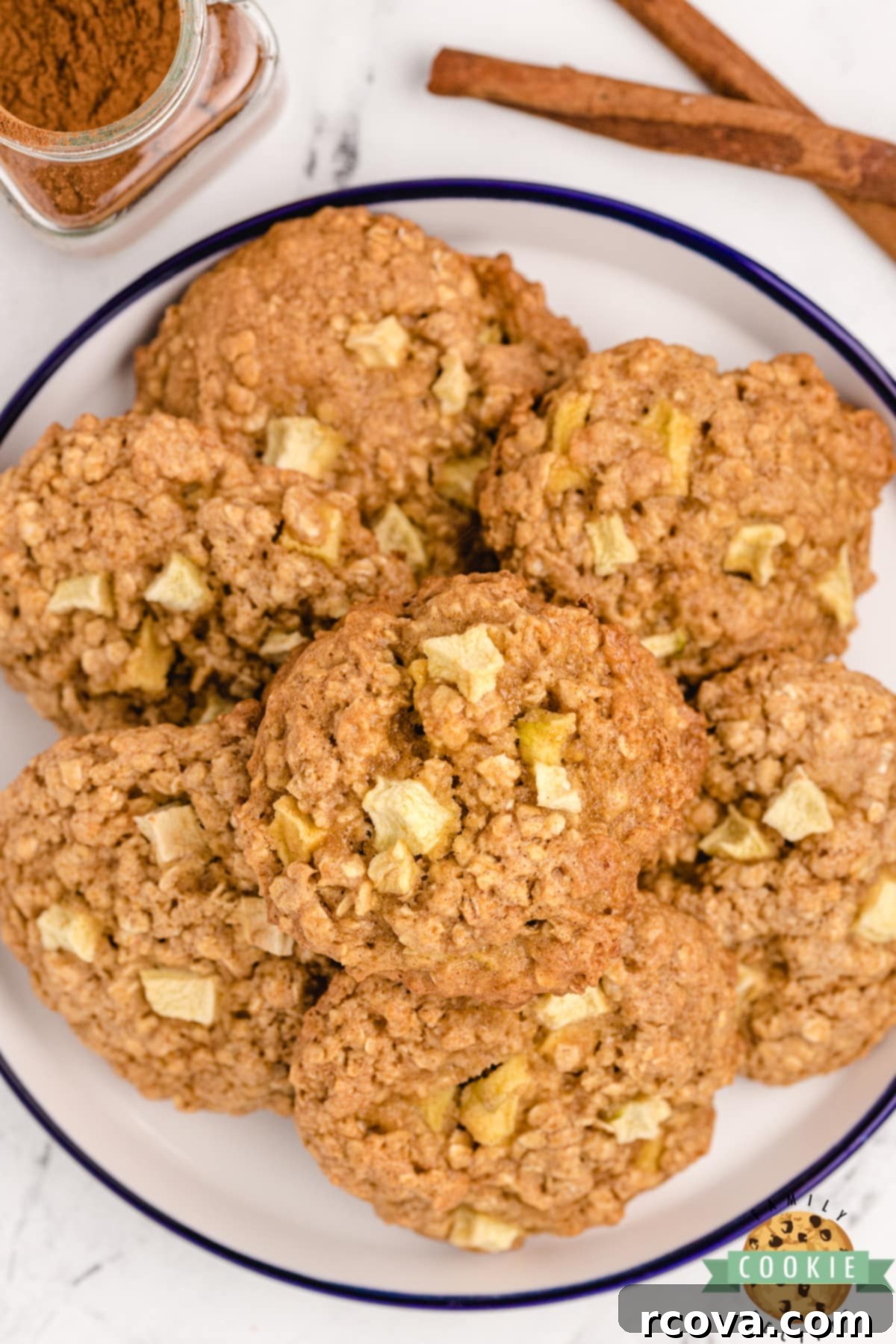 Delicious Apple Cookie Recipes 12 Apple Cinnamon Oatmeal Cake Mix Cookies.