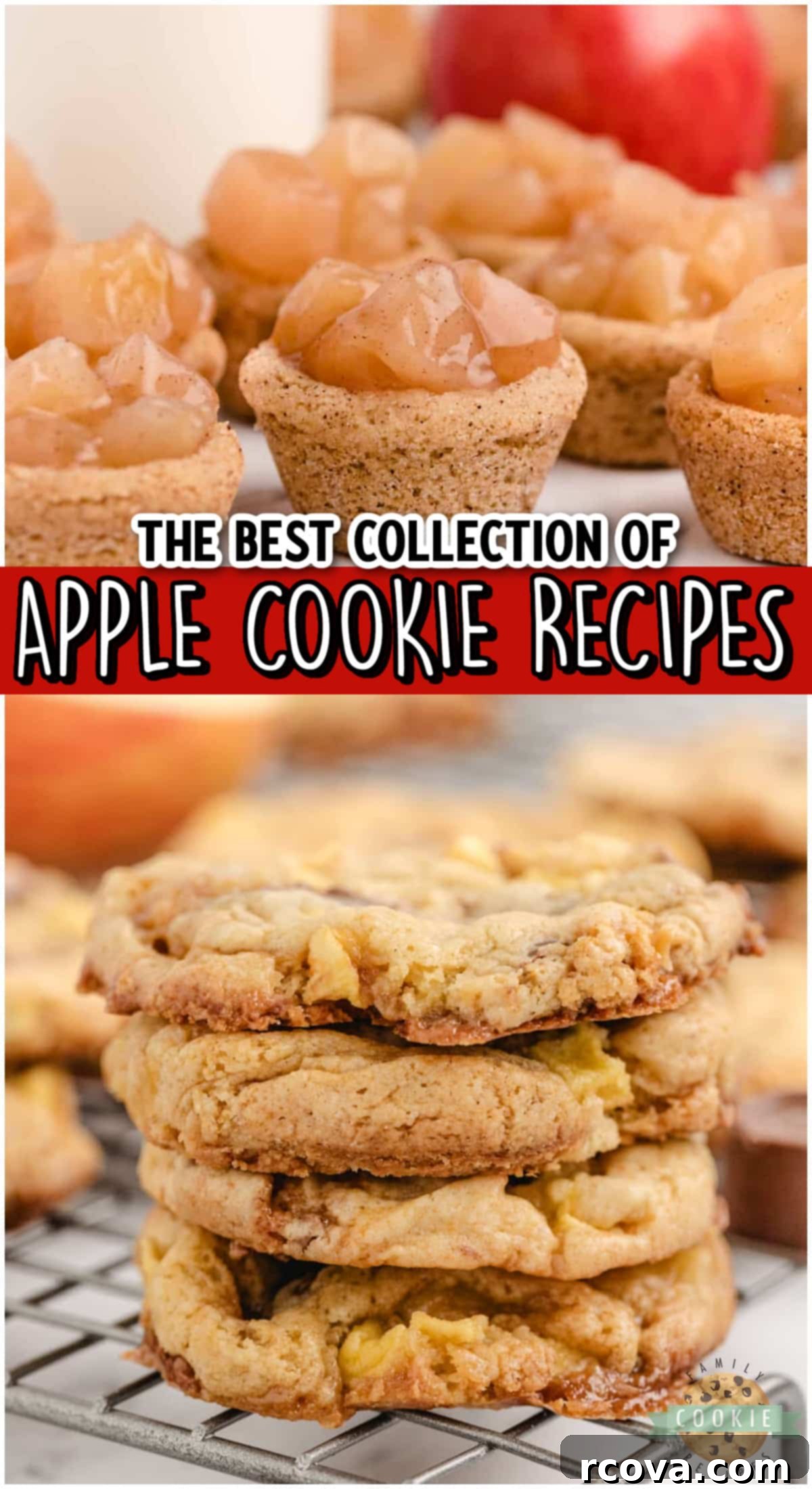 Delicious Apple Cookie Recipes 17 A beautiful collection of the best apple cookie recipes for all occasions.