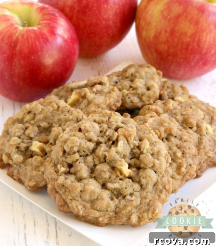 Delicious Apple Cookie Recipes 3 Soft and chewy Caramel Apple Oatmeal Cookies.