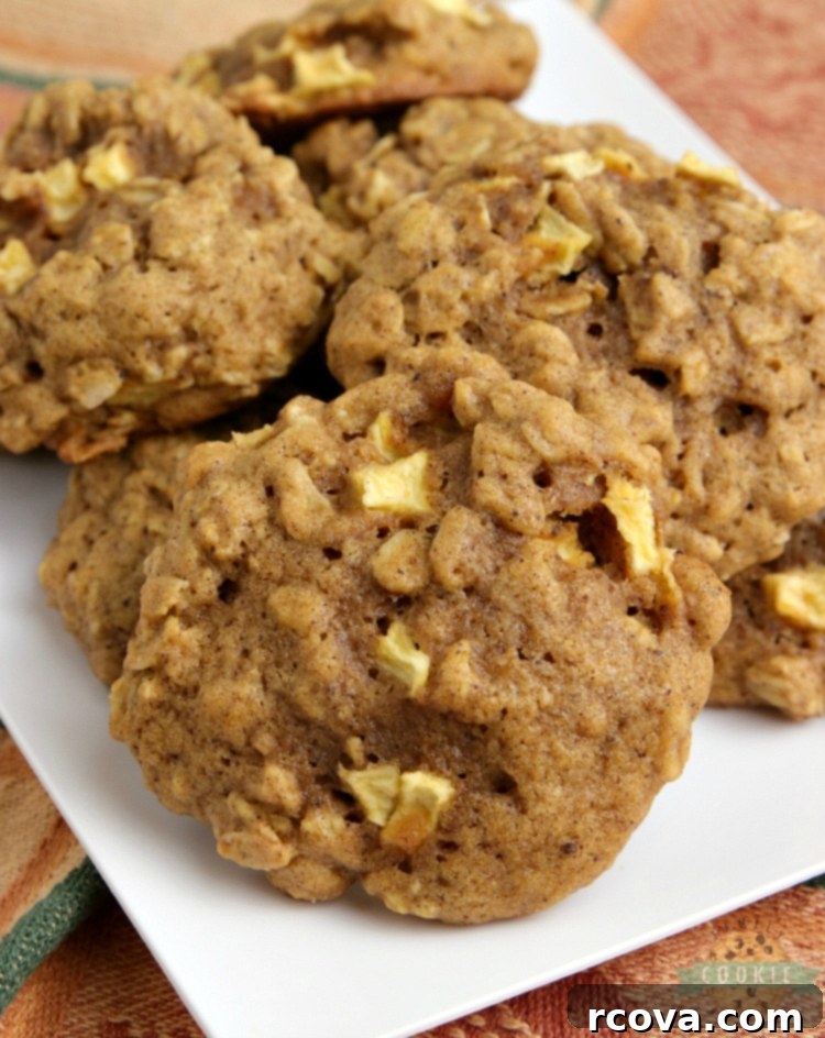 Delicious Apple Cookie Recipes 6 Thick and soft Apple Pumpkin Oatmeal Cookies.