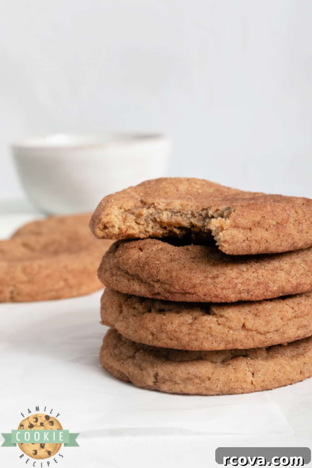 Delicious Apple Cookie Recipes 7 Soft and chewy Apple Snickerdoodle Cookies.