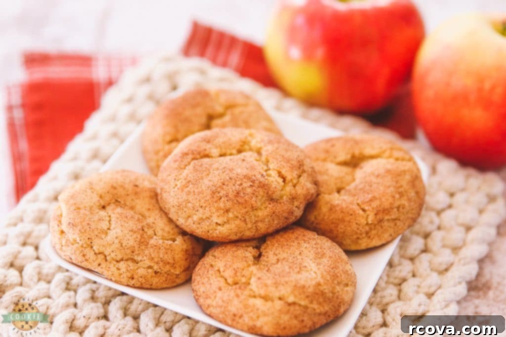 Delicious Apple Cookie Recipes 10 Apple Cider Snickerdoodles with cinnamon and nutmeg.