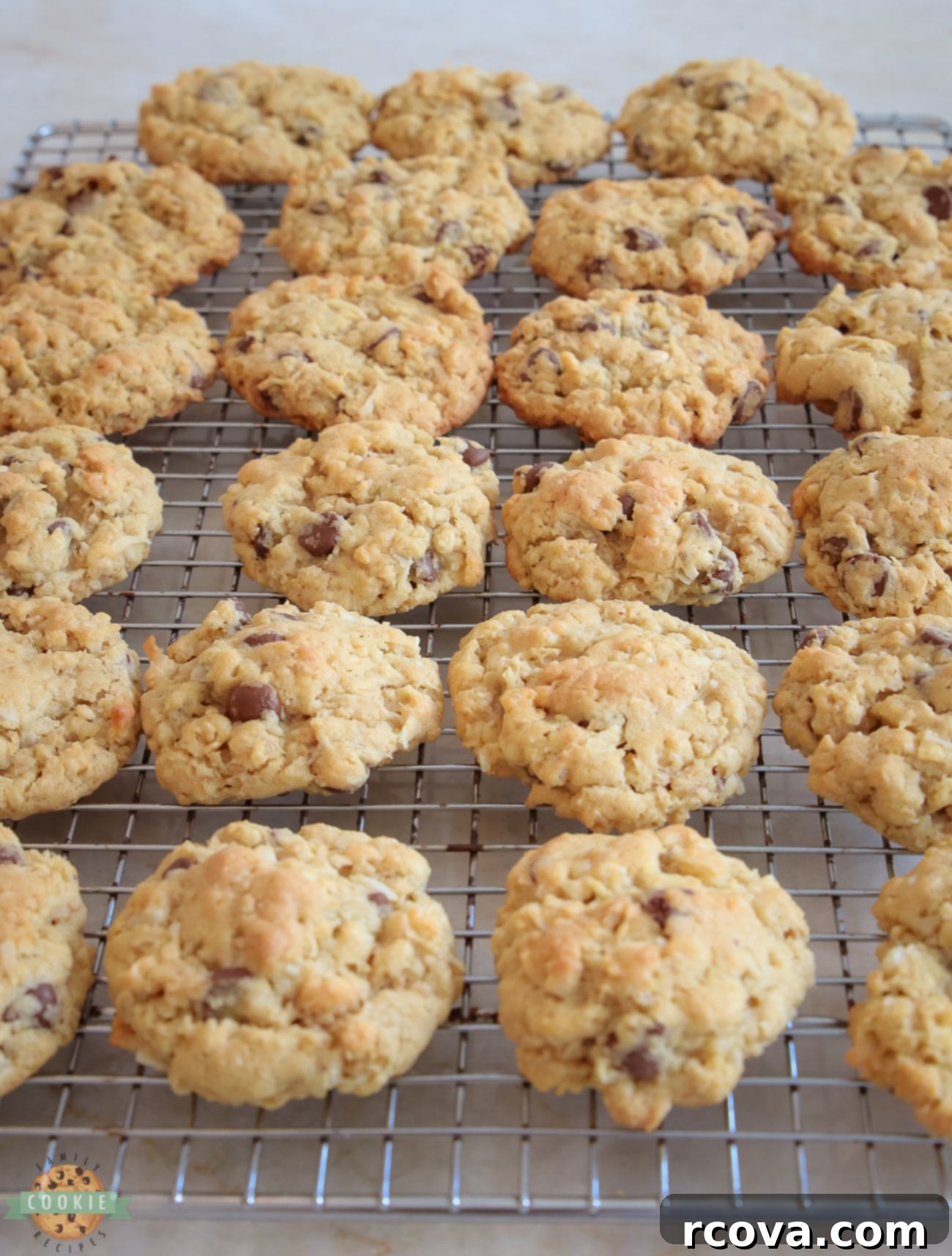 Trailblazer Chocolate Chip Cookies 5 Ranger cookies on a cooling rack
