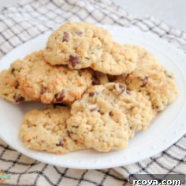Trailblazer Chocolate Chip Cookies 6 plateful of Ranger cookies
