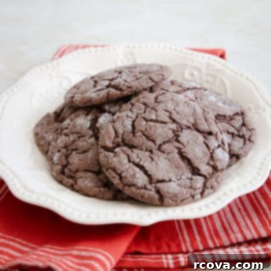 Festive Cocoa Crinkles 5 Delicious chocolate cake mix cookies with warming spices, ready to be enjoyed.
