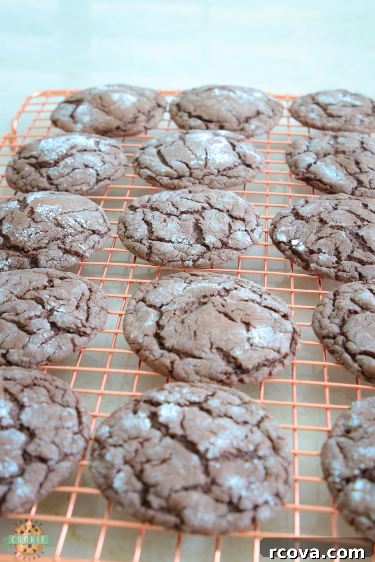Festive Cocoa Crinkles 6 Spiced chocolate crinkle cookies arranged neatly on a wire cooling rack, perfect for sharing.