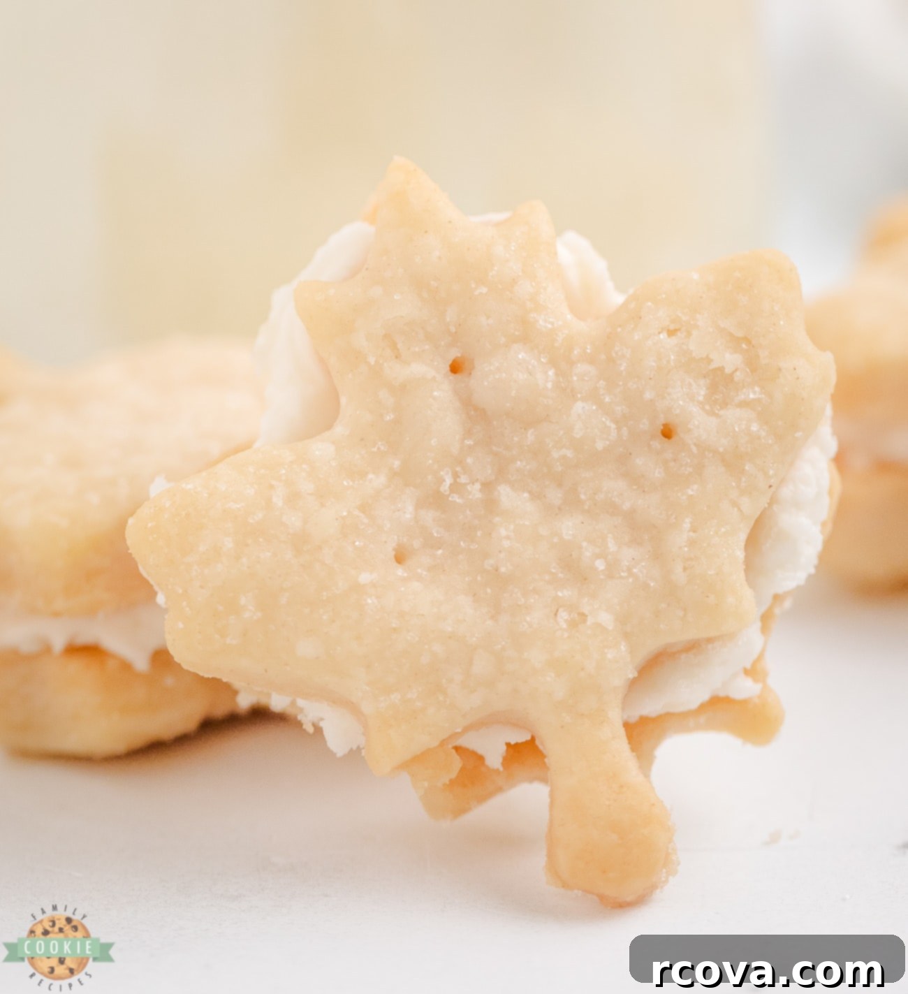 Golden Maple Sandwich Delights 2 maple sandwich cookies with maple buttercream filling