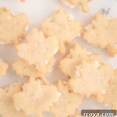 Golden Maple Sandwich Delights 5 tray of maple sandwich cookies with maple buttercream filling