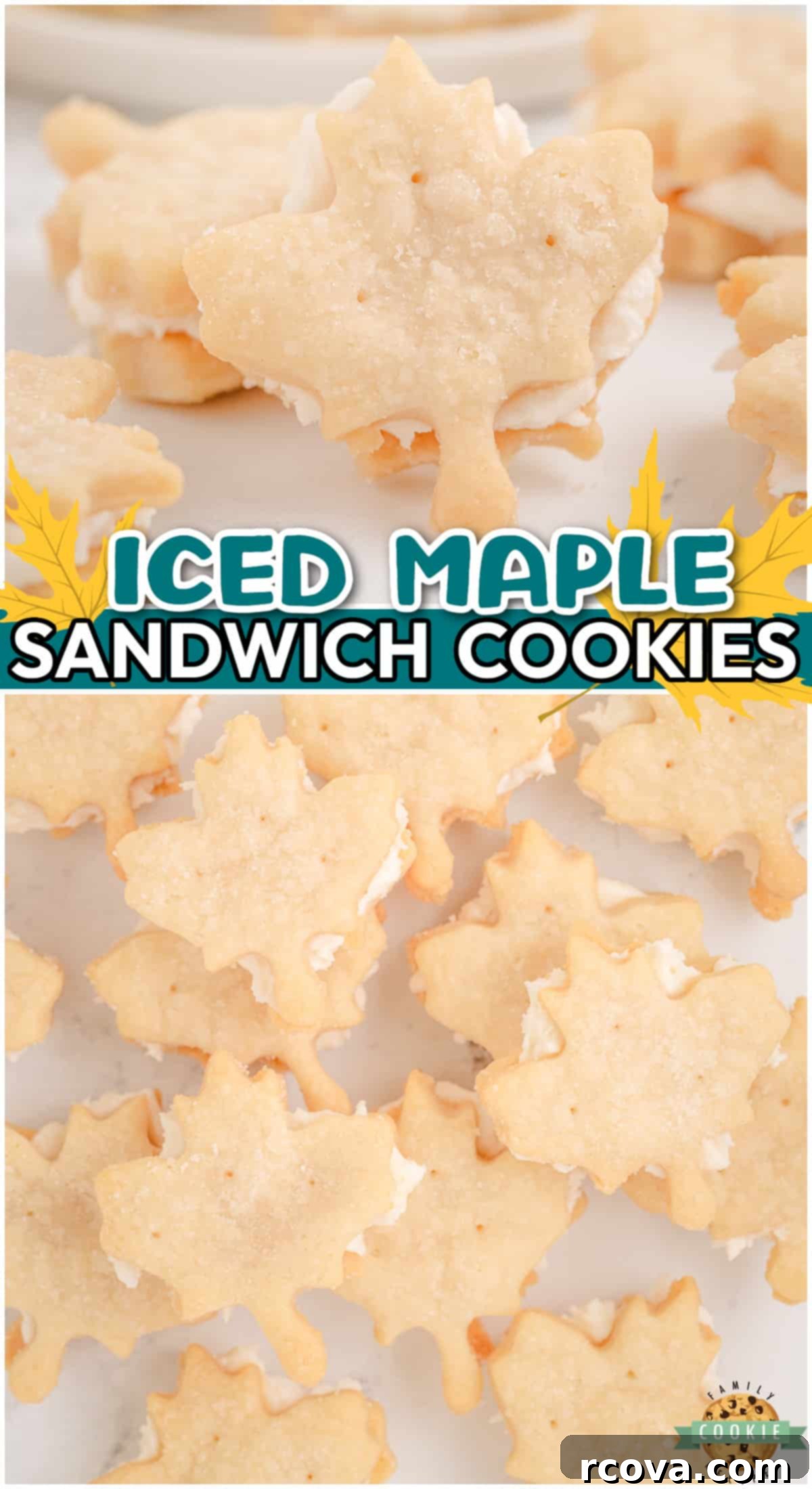 Golden Maple Sandwich Delights 7 Maple Sandwich Cookies are simple buttery cookies rolled & cut with maple leaf cookie cutters and sandwiched with a silky maple buttercream!