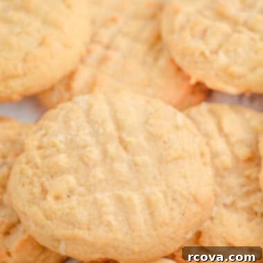 Tropical Coconut Chews 6 chewy coconut cookies