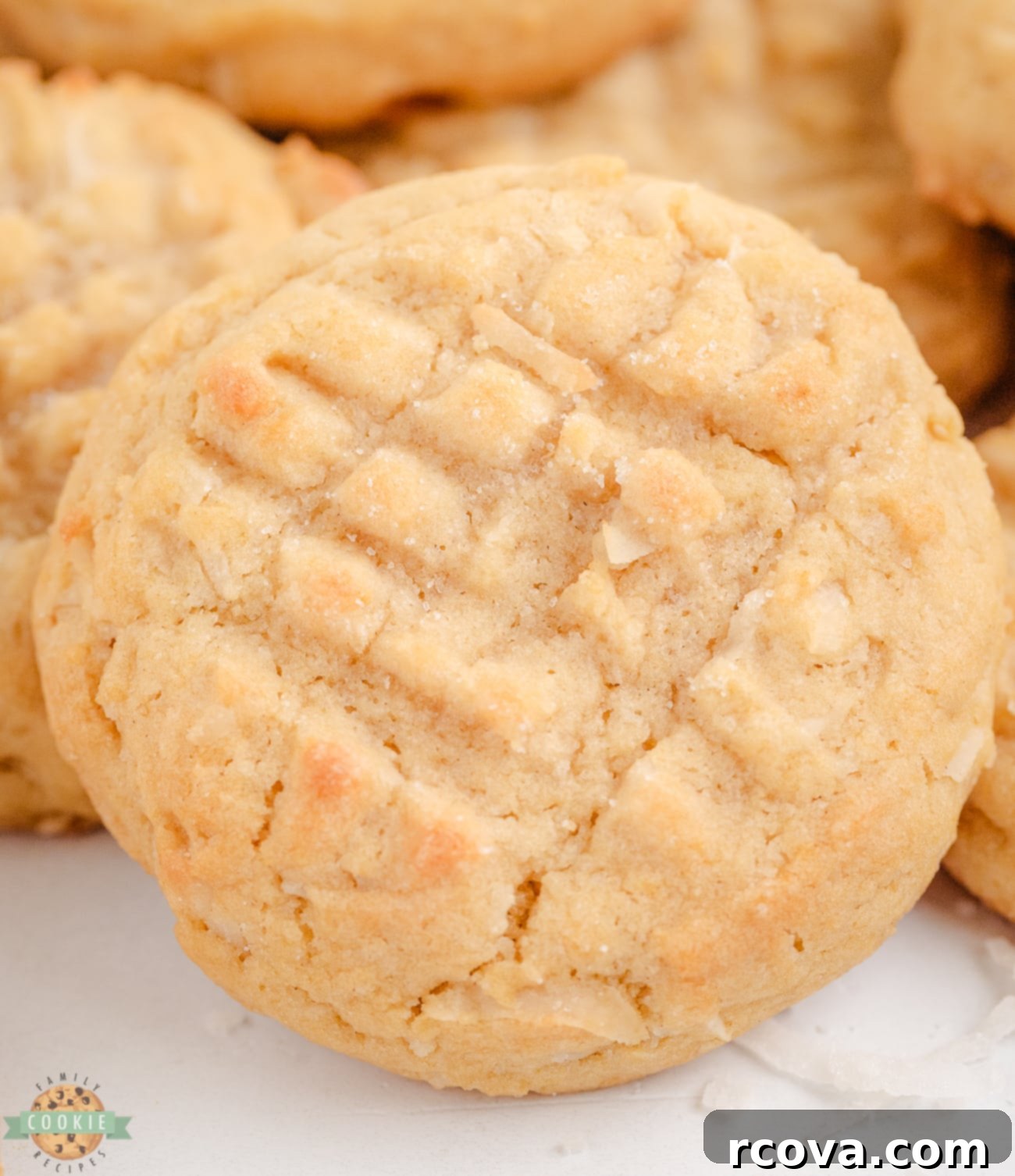 Tropical Coconut Chews 7 round coconut cookies with fork marks