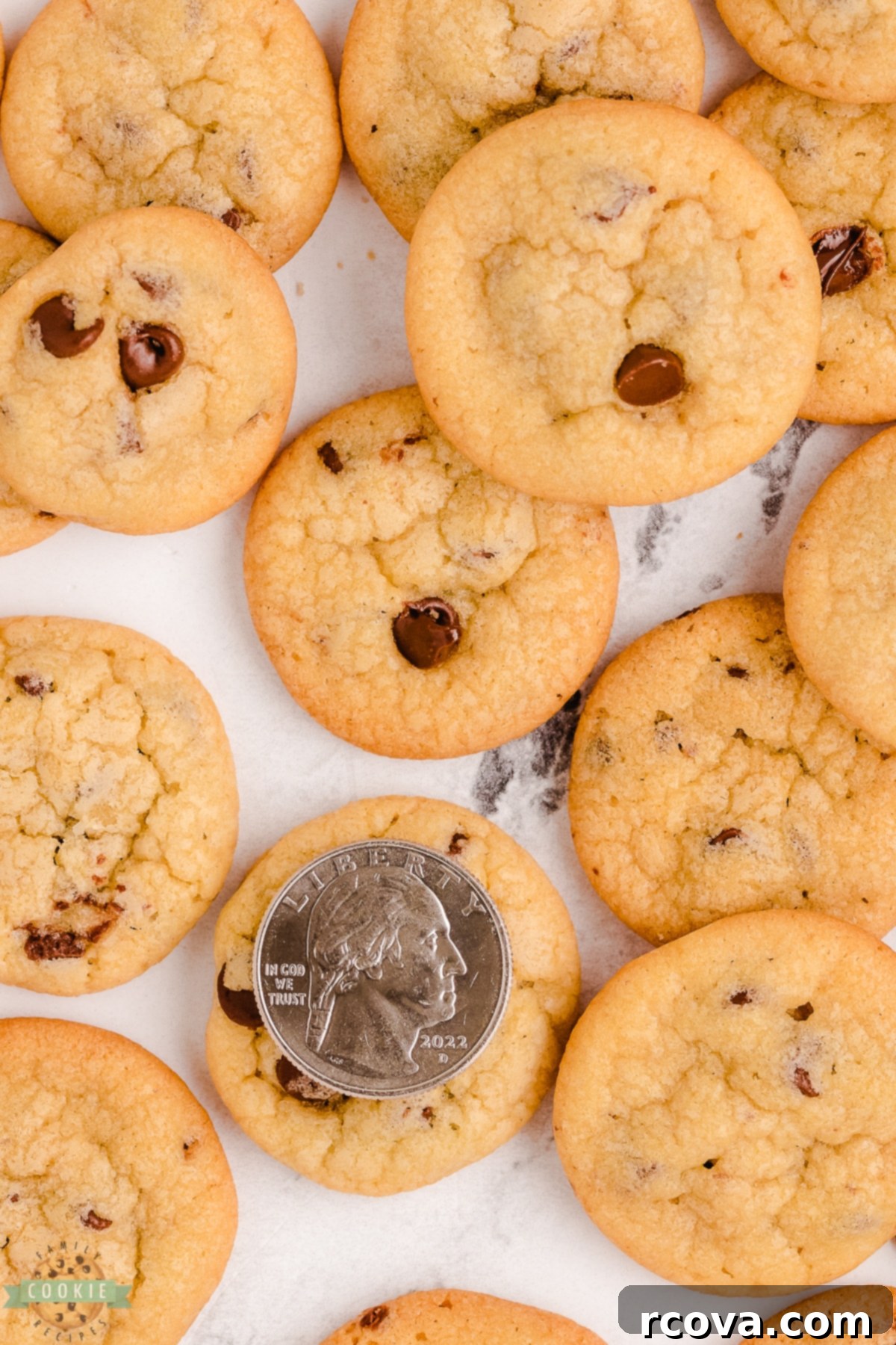 Tiny Chocolate Chip Delights 2 tiny chocolate chip cookies