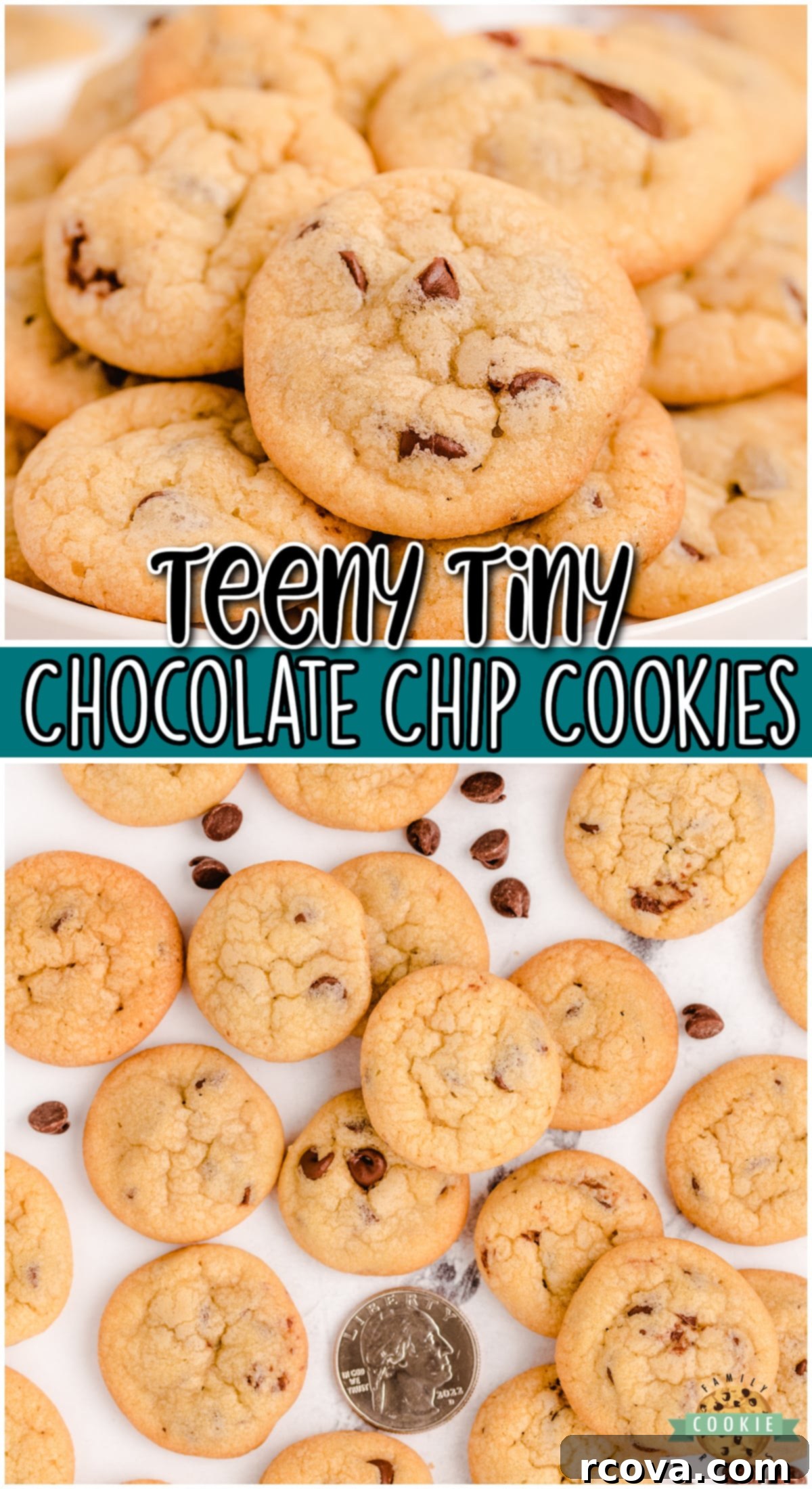 Tiny Chocolate Chip Delights 13 Mini Chocolate Chip Cookies are teeny tiny chocolate chip cookies the size of a quarter! Soft, chewy poppable cookies perfect for parties!