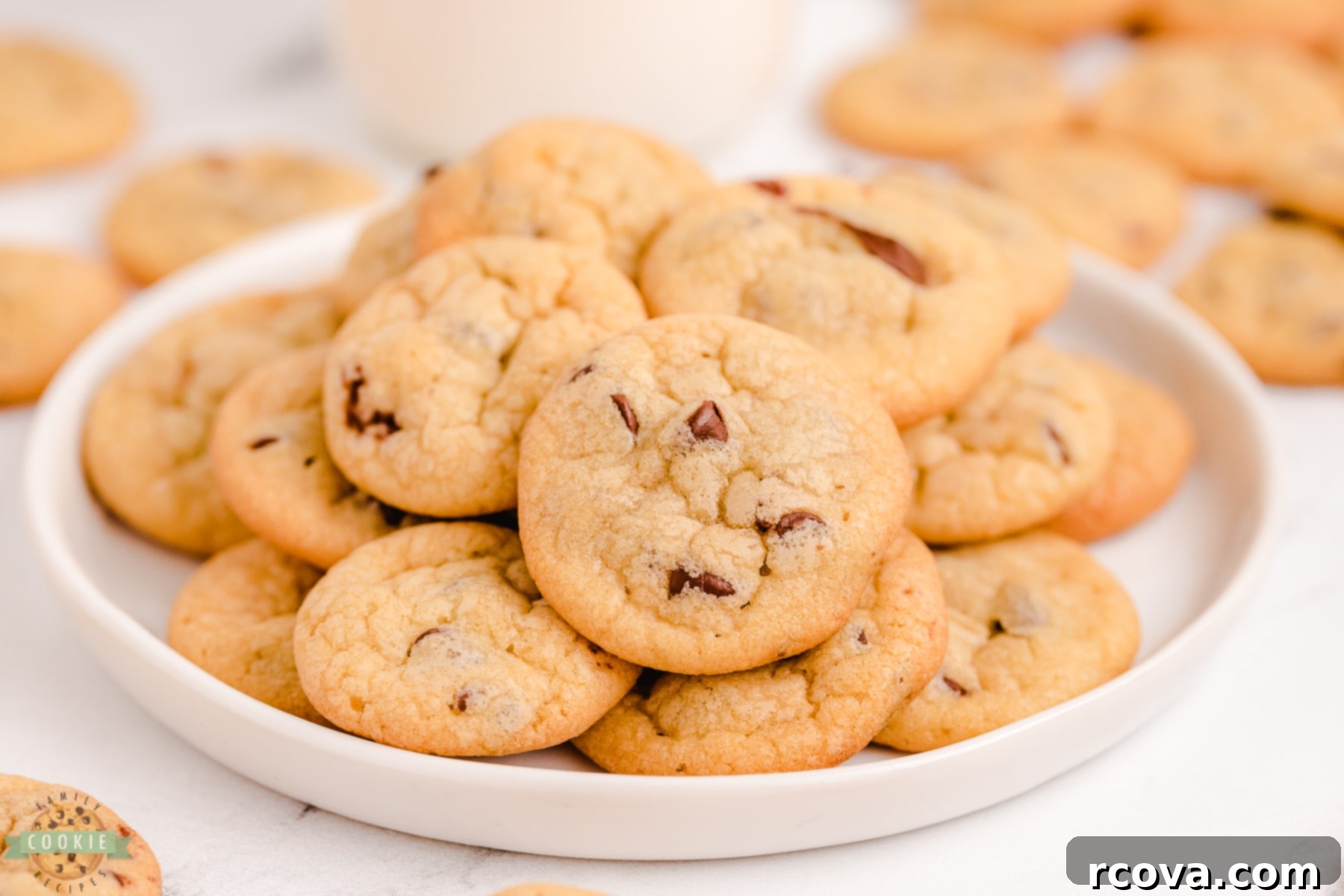 Tiny Chocolate Chip Delights 3 soft chewy tiny cookies