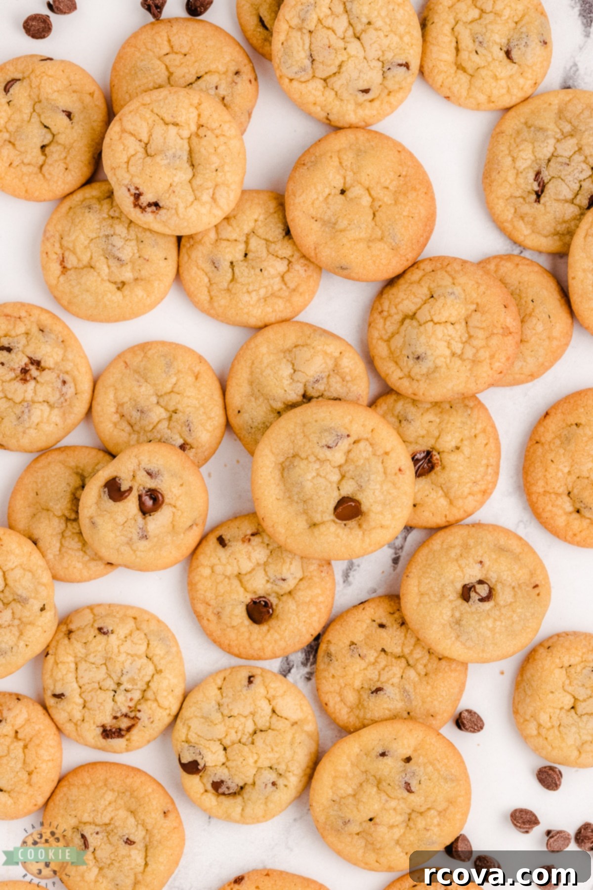 Tiny Chocolate Chip Delights 4 tiny chocolate chip cookies