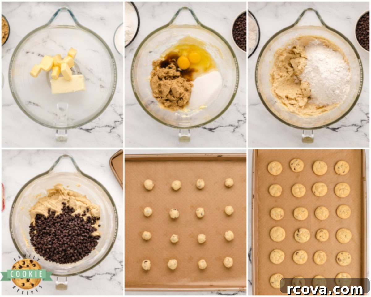 Tiny Chocolate Chip Delights 5 how to make mini chocolate chip cookies