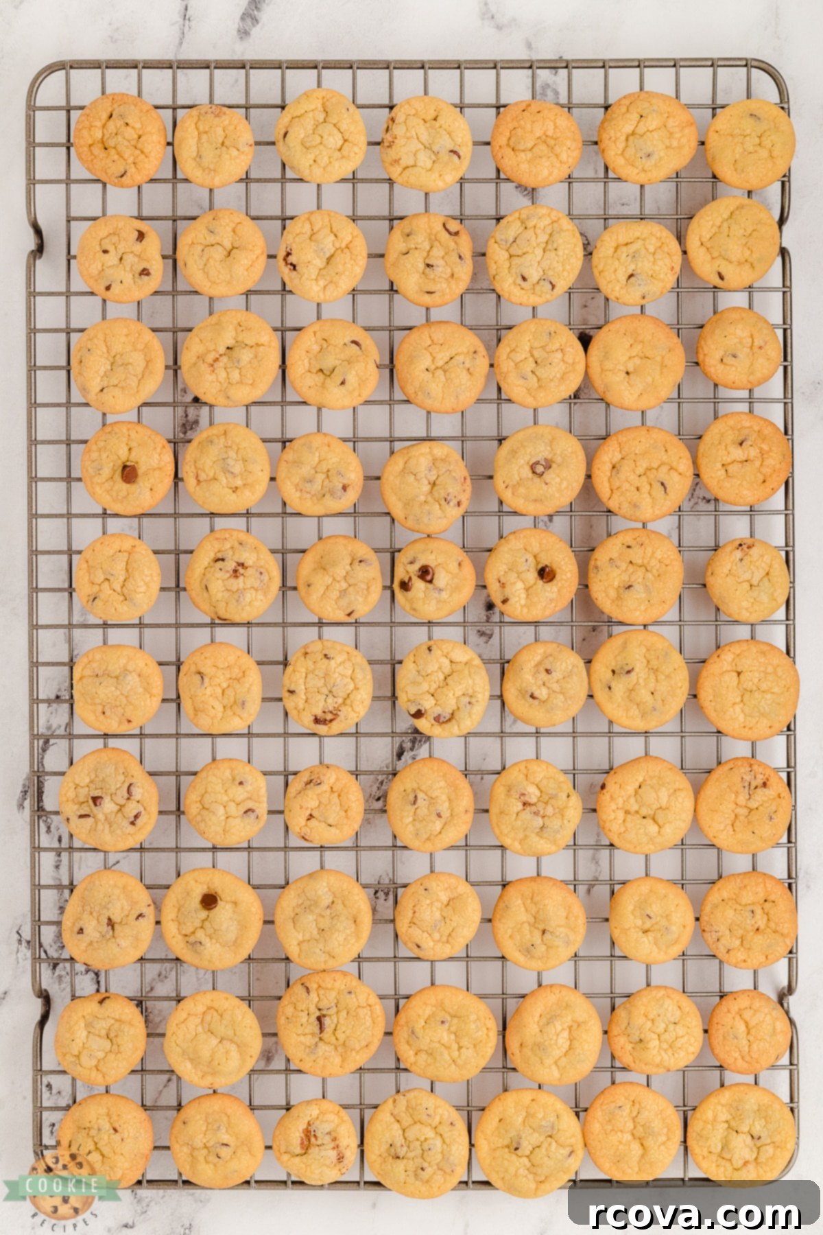 Tiny Chocolate Chip Delights 6 mini chocolate chip cookies on a cooling rack