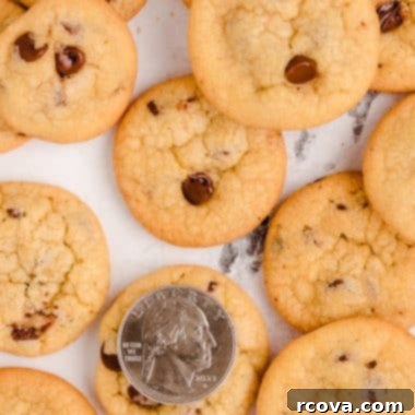 Tiny Chocolate Chip Delights 8 tiny chocolate chip cookies