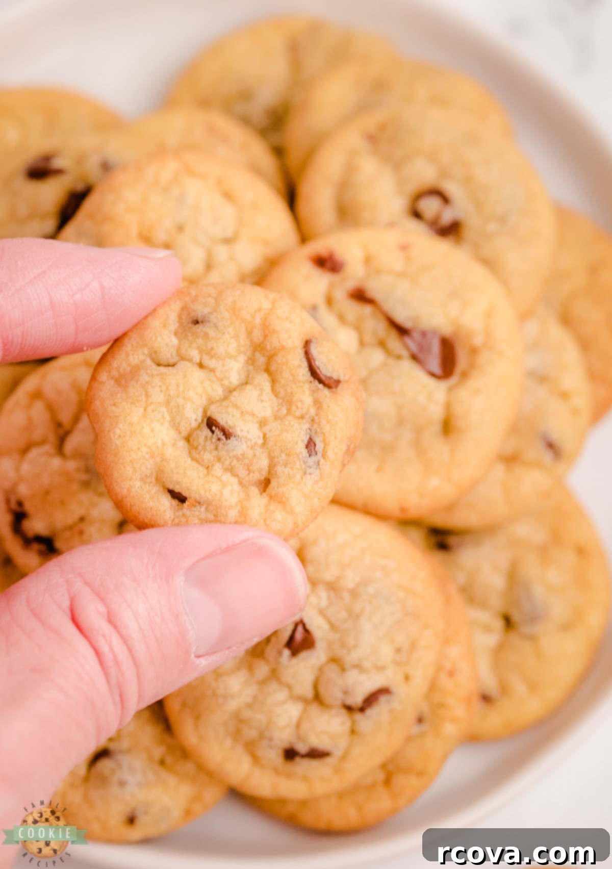 Tiny Chocolate Chip Delights 9 holding up a tiny chocolate chip cookie