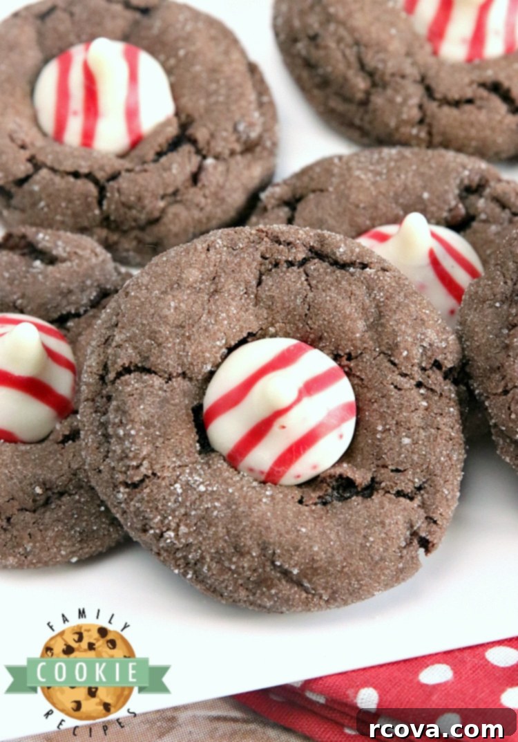 Peppermint Cookie Perfection 14 Chocolate Peppermint Blossoms.