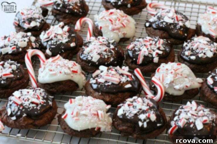 Peppermint Cookie Perfection 17 Peppermint Fudge Cookies.