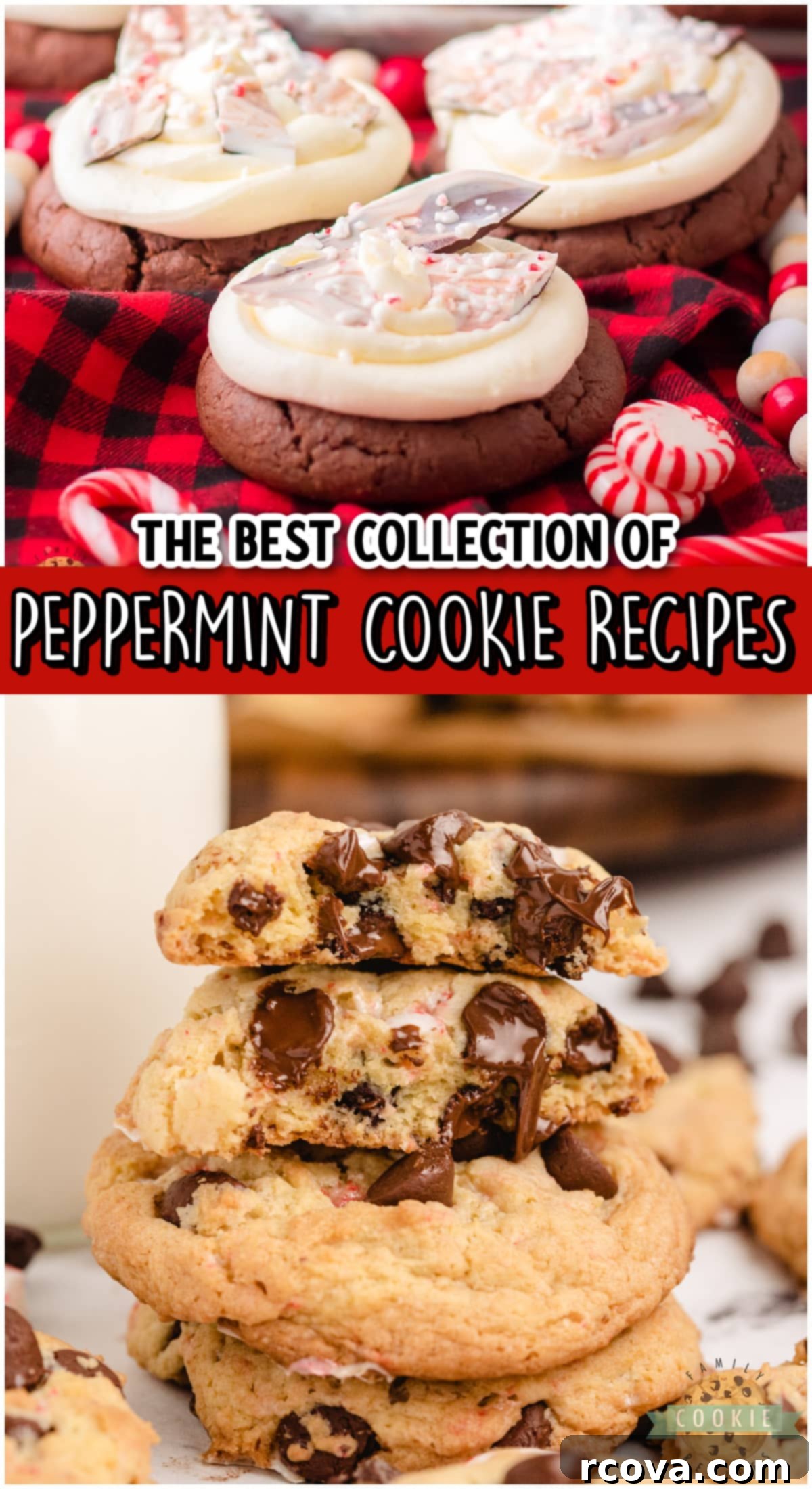 Peppermint Cookie Perfection 19 Collection of peppermint cookie recipes.