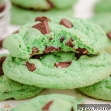 Ultimate Chocolate Mint Cookies 14 mint chocolate chip cookies