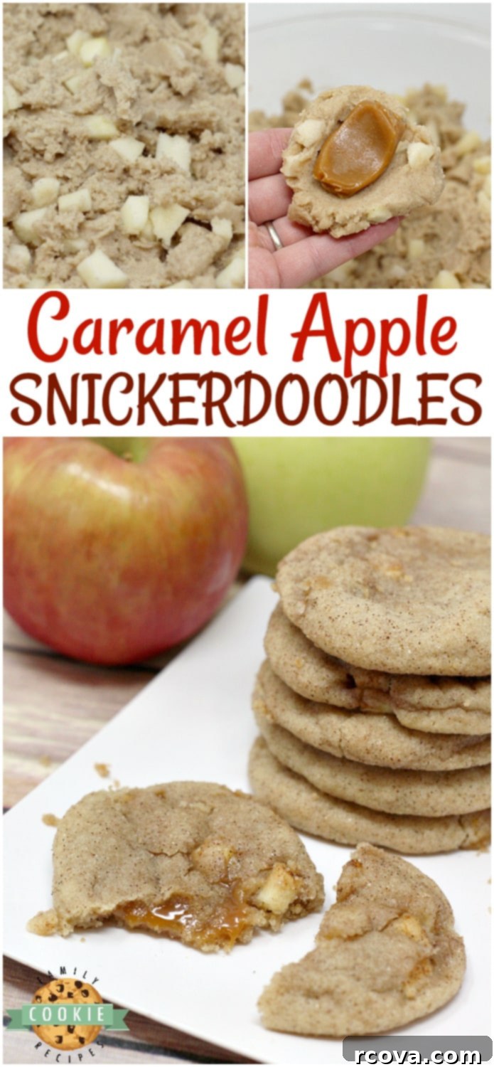 Caramel Apple Snickerdoodles 14 Caramel Apple Snickerdoodles combining cinnamon/sugar cookies, chewy caramel, and fresh apples in a delicious fall dessert.